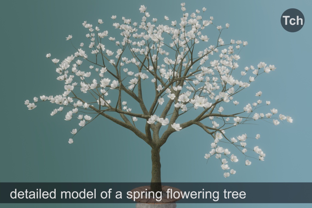 White magnolia tree (3D) || マグノリア ホワイト (3D)