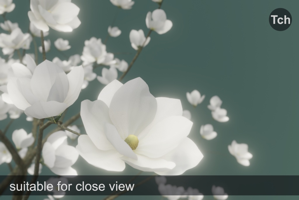 White magnolia tree (3D) || マグノリア ホワイト (3D)