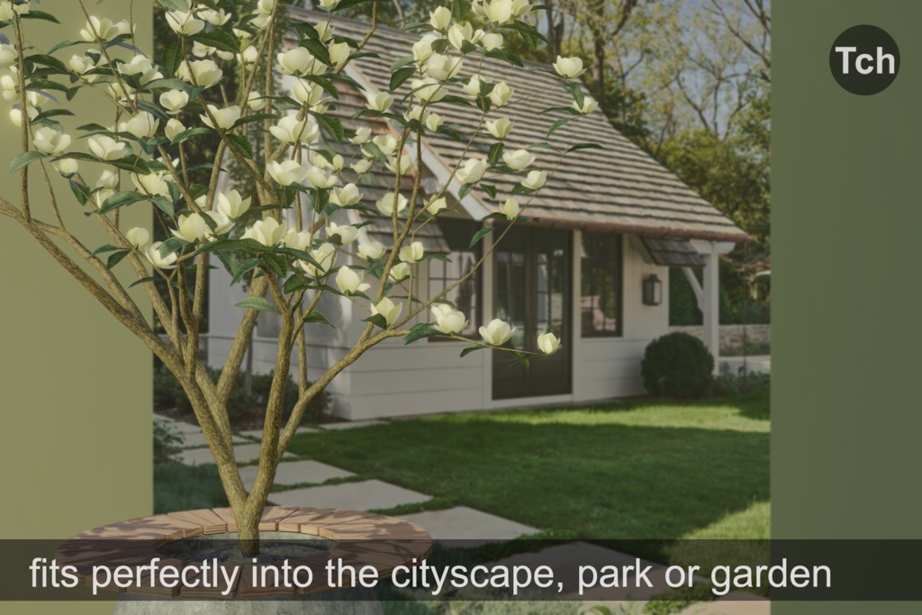 Yellow magnolia tree (3D) || マグノリア イエロー (3D)