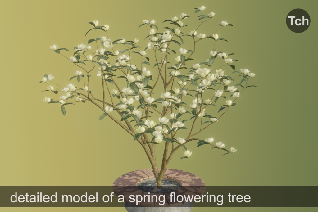 Yellow magnolia tree (3D) || マグノリア イエロー (3D)