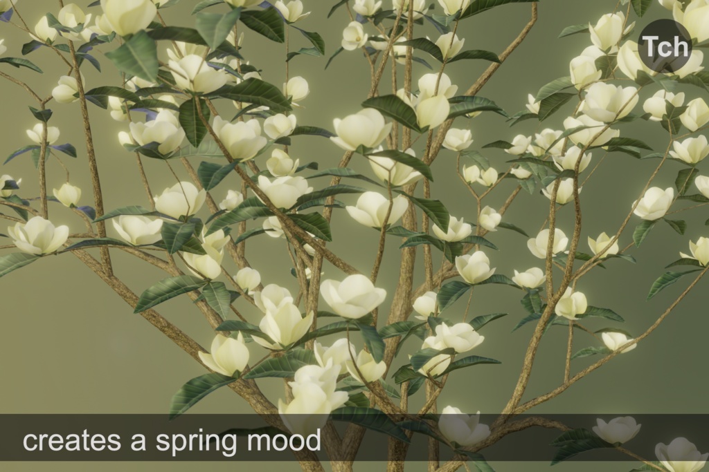 Yellow magnolia tree (3D) || マグノリア イエロー (3D)