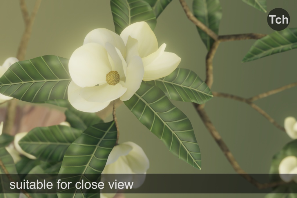 Yellow magnolia tree (3D) || マグノリア イエロー (3D)