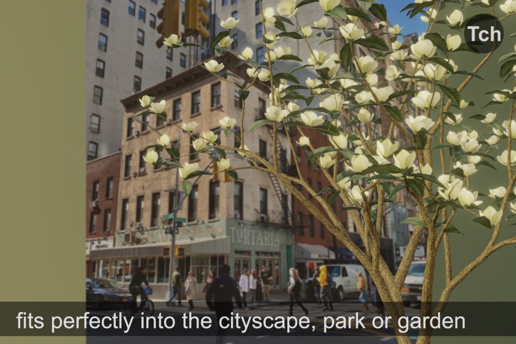 Yellow magnolia tree (3D) || マグノリア イエロー (3D)