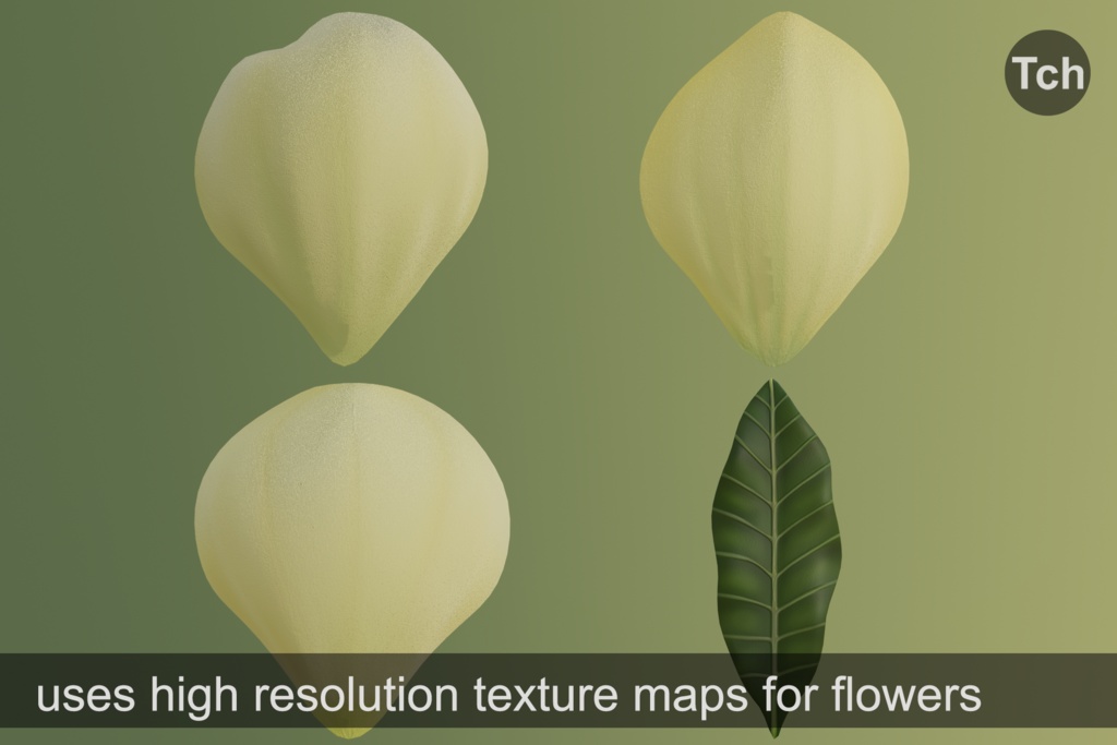 Yellow magnolia tree (3D) || マグノリア イエロー (3D)