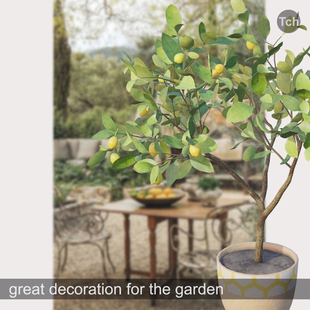 Lemon tree in a pot (3D) | 鉢植えのレモンの木(3D)