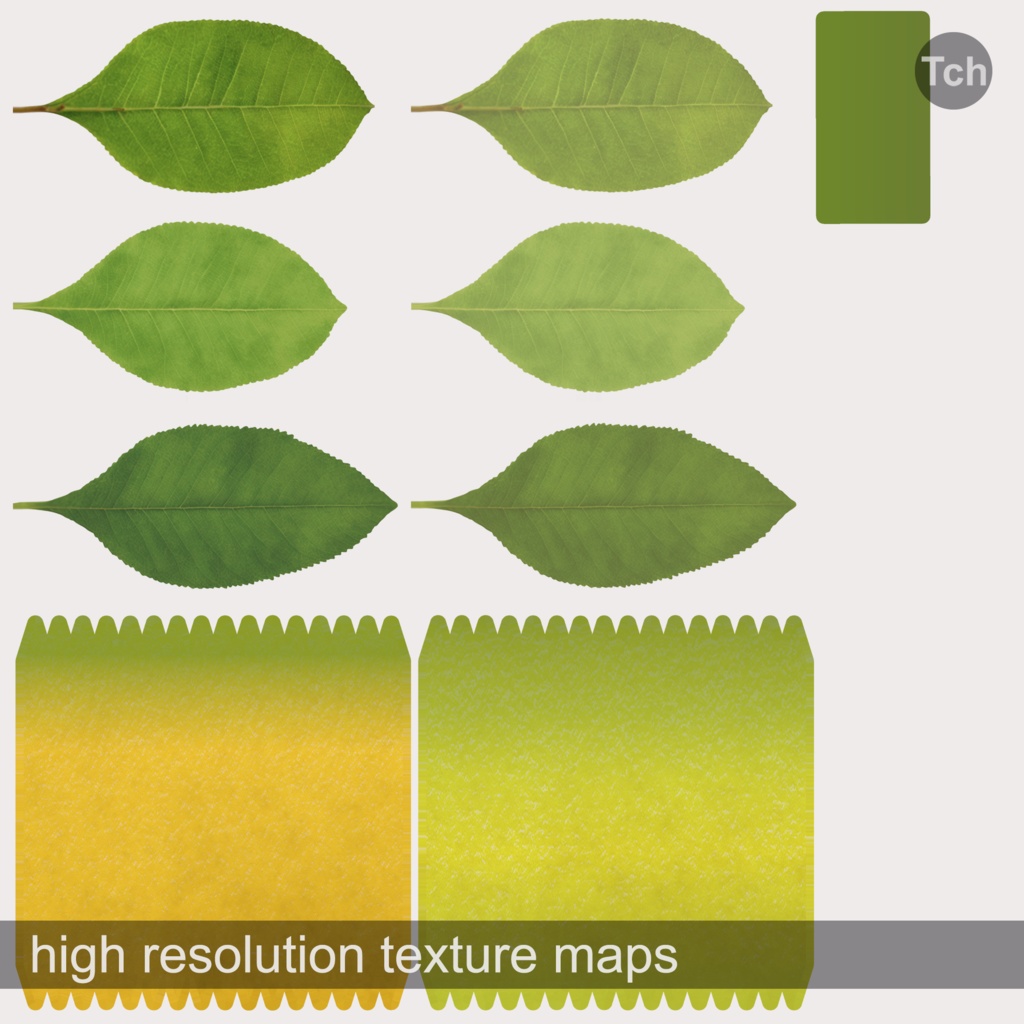 Lemon tree in a pot (3D) | 鉢植えのレモンの木(3D)