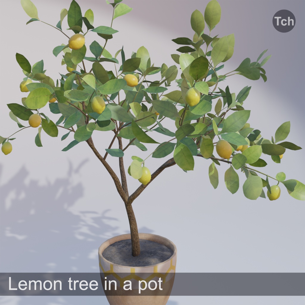 Lemon tree in a pot (3D) | 鉢植えのレモンの木（3D）