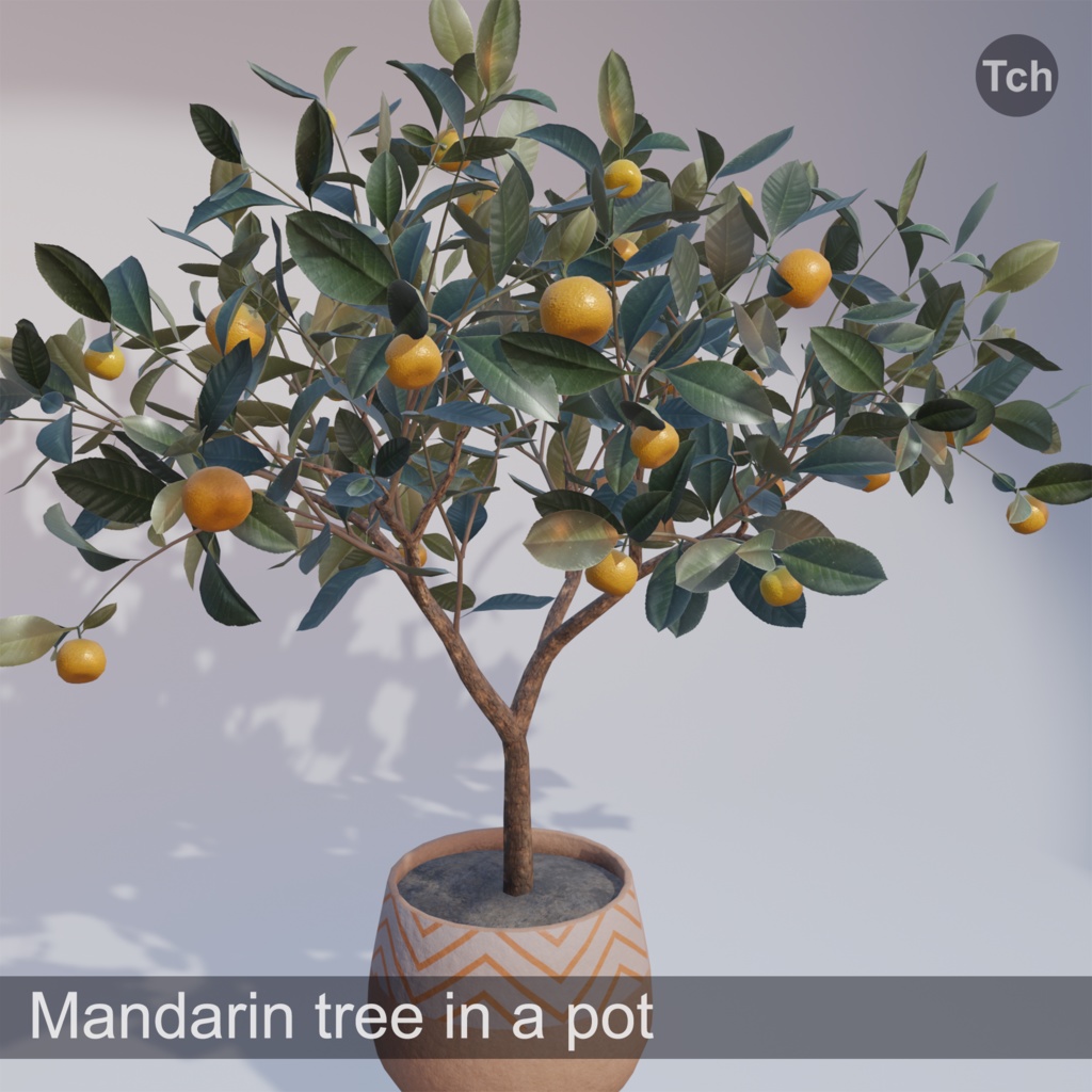 Mandarin tree in a pot (3D) | 鉢植えのミカンの木（3D）