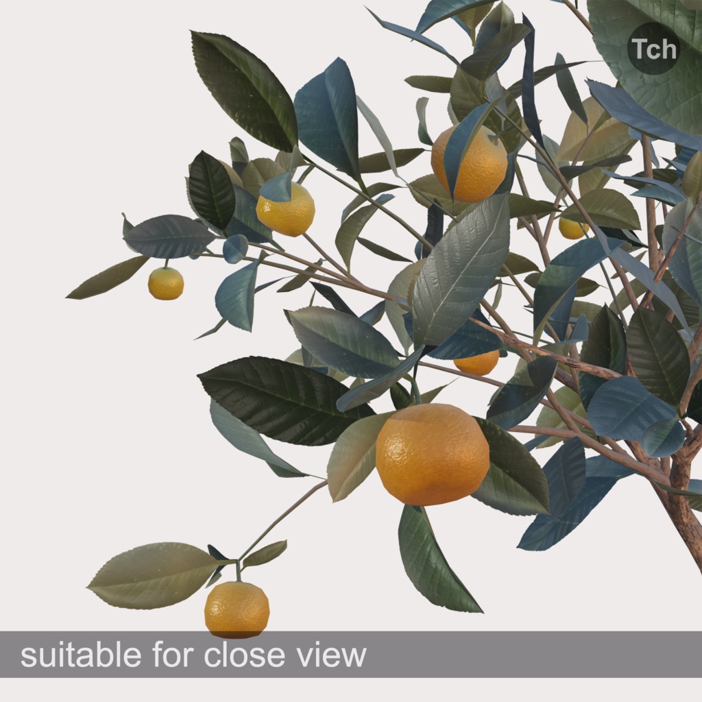 Mandarin tree in a pot (3D) | 鉢植えのミカンの木(3D)