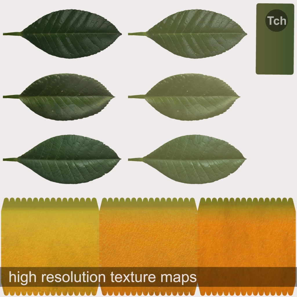 Mandarin tree in a pot (3D) | 鉢植えのミカンの木(3D)