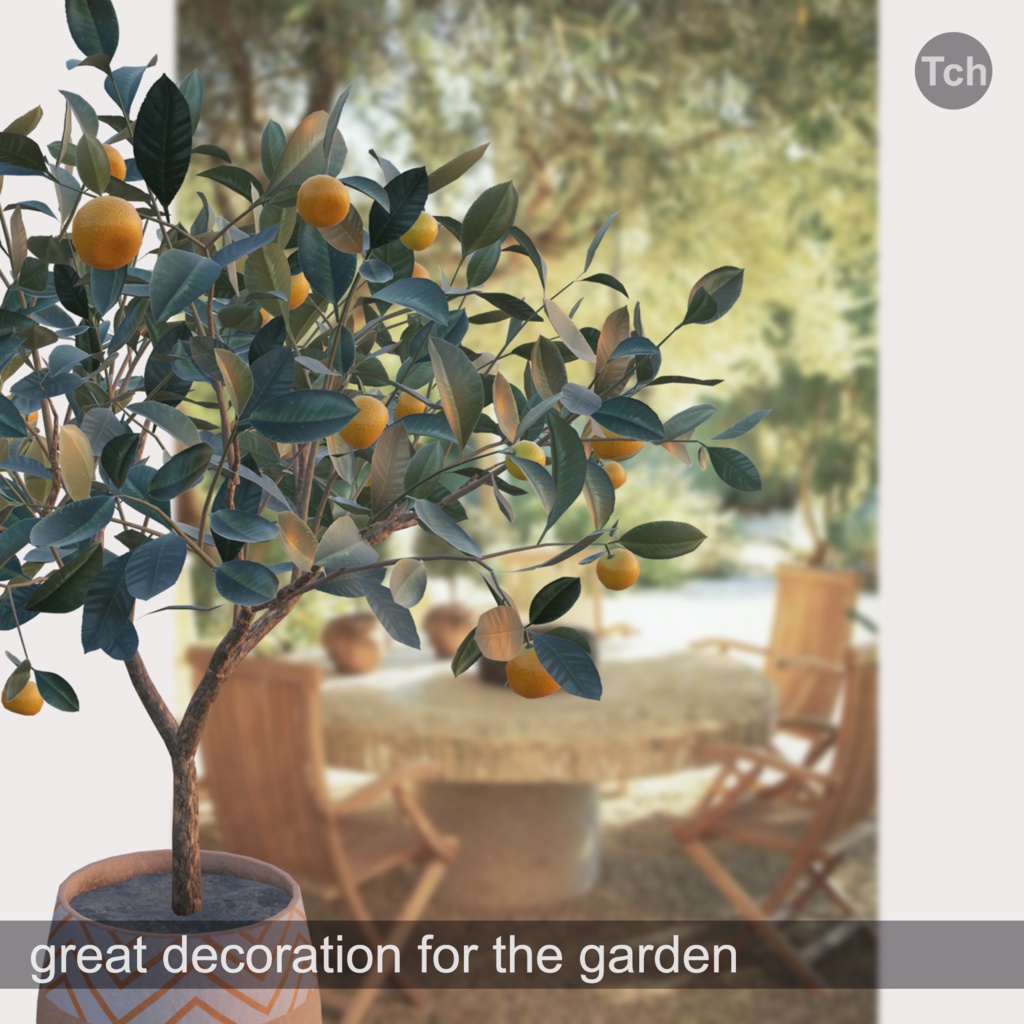 Mandarin tree in a pot (3D) | 鉢植えのミカンの木(3D)