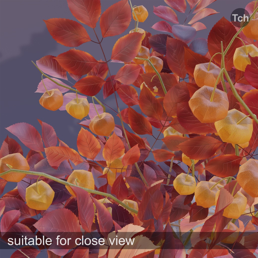 Red fall bouquet (3D) | 赤い秋の花束(3D)