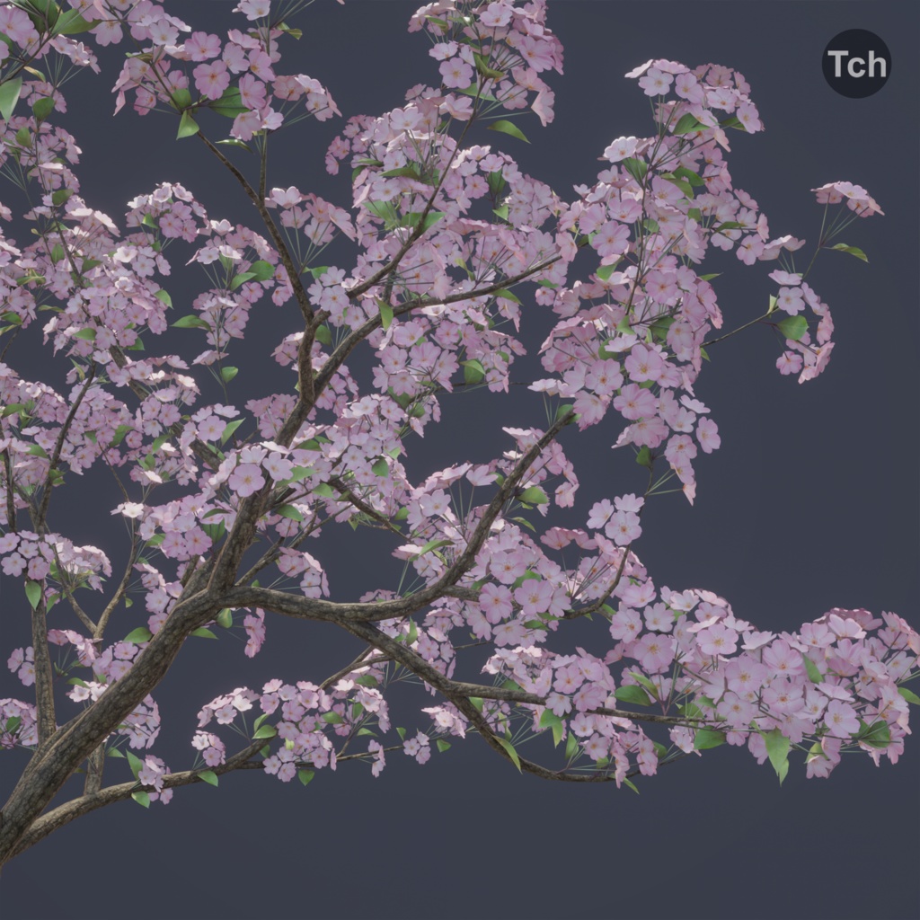 Spring tree (3D) | 春の木 (3D)