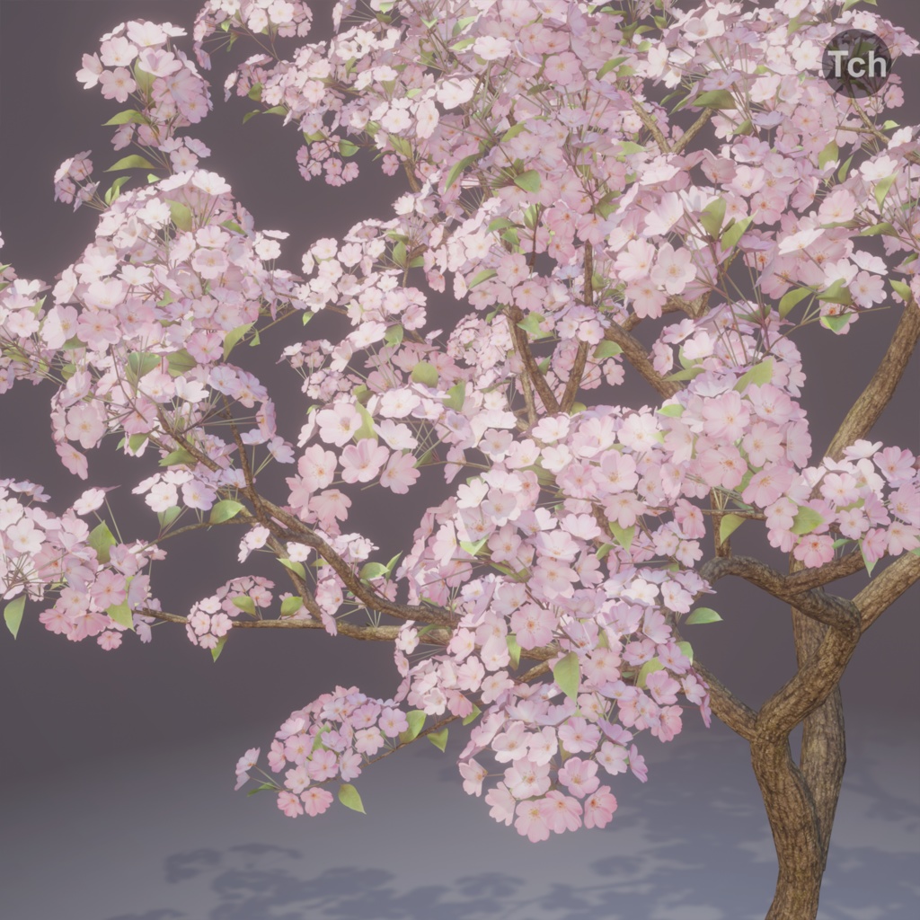Spring tree (3D) | 春の木 (3D)