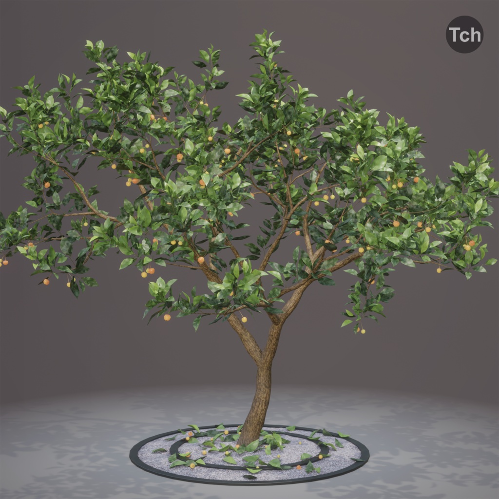 Summer tree (3D) | 夏の木 (3D)