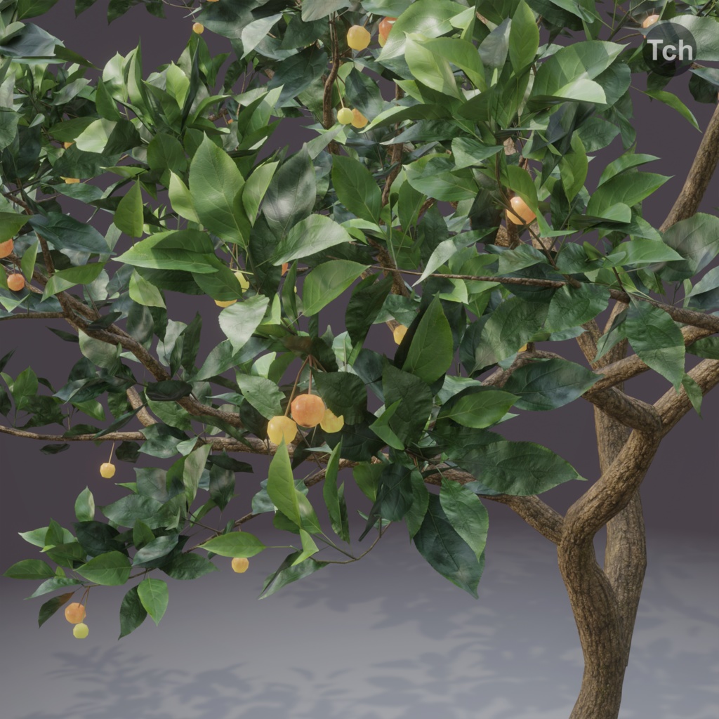 Summer tree (3D) | 夏の木 (3D)