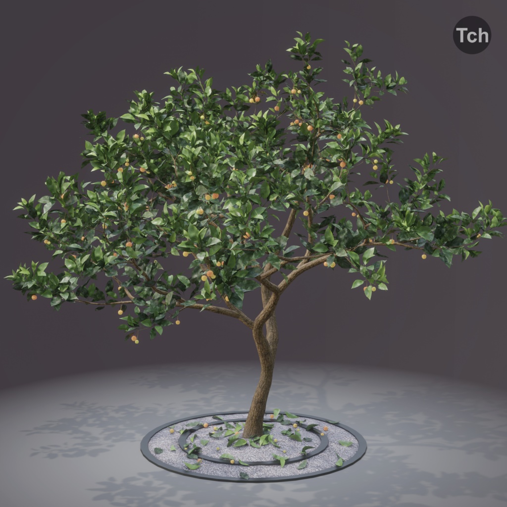 Summer tree (3D) | 夏の木 (3D)