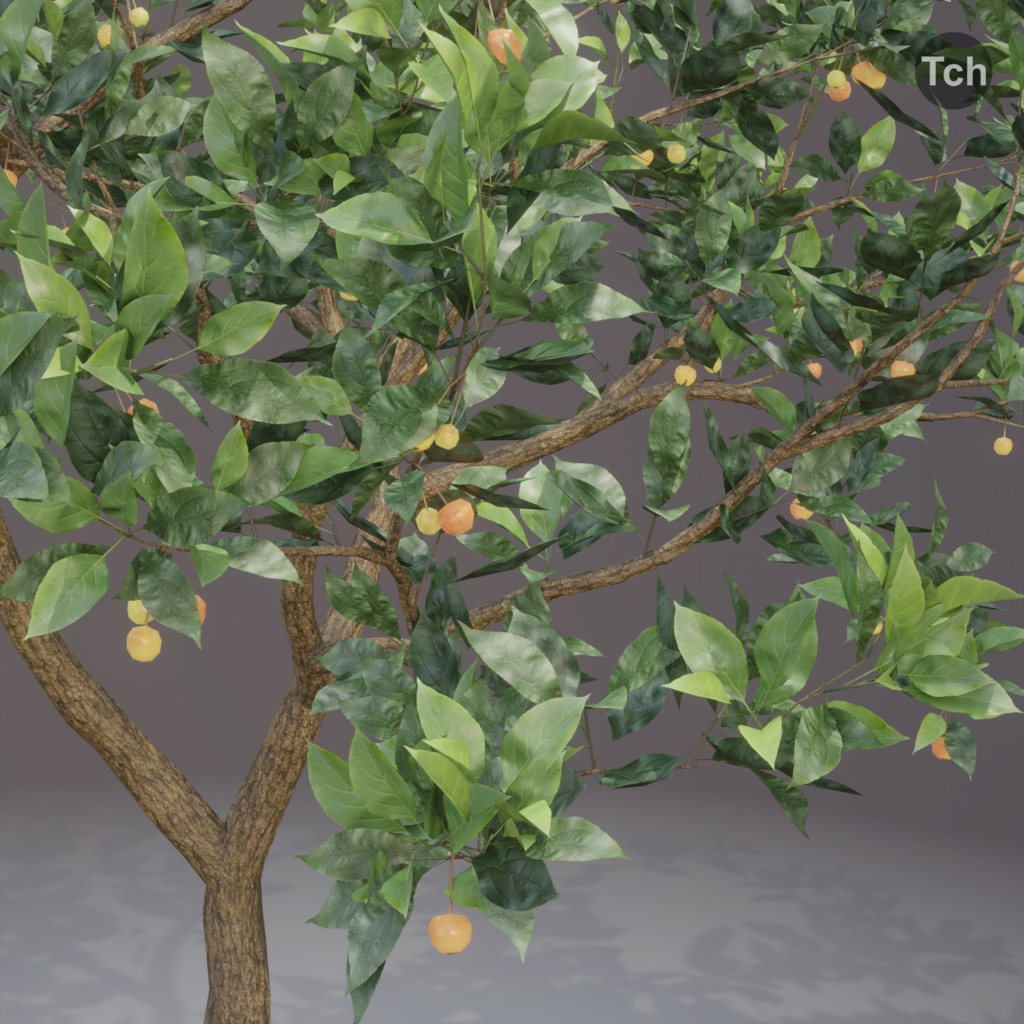 Summer tree (3D) | 夏の木 (3D)
