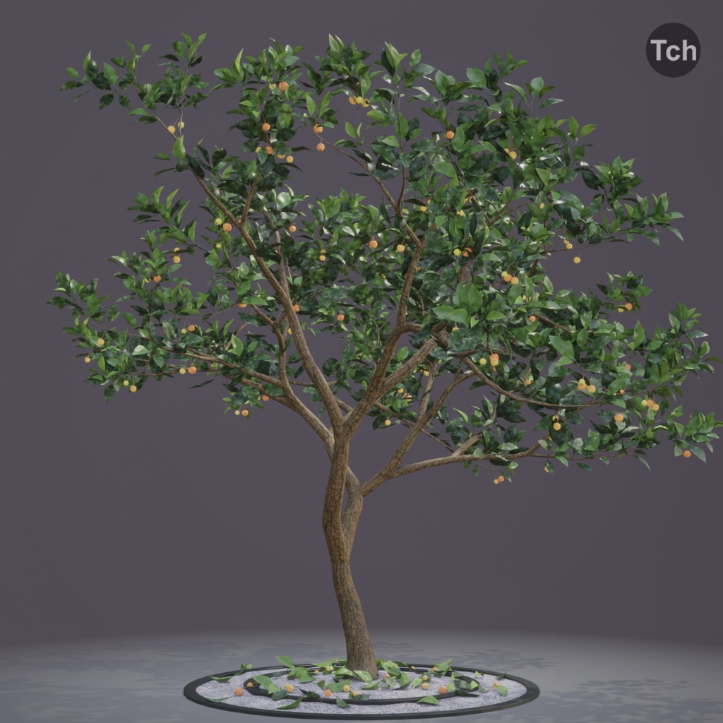 Summer tree (3D) | 夏の木 (3D)
