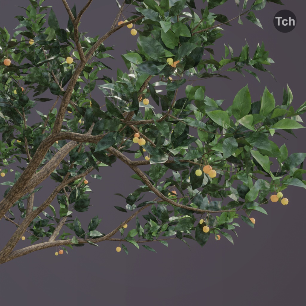 Summer tree (3D) | 夏の木 (3D)