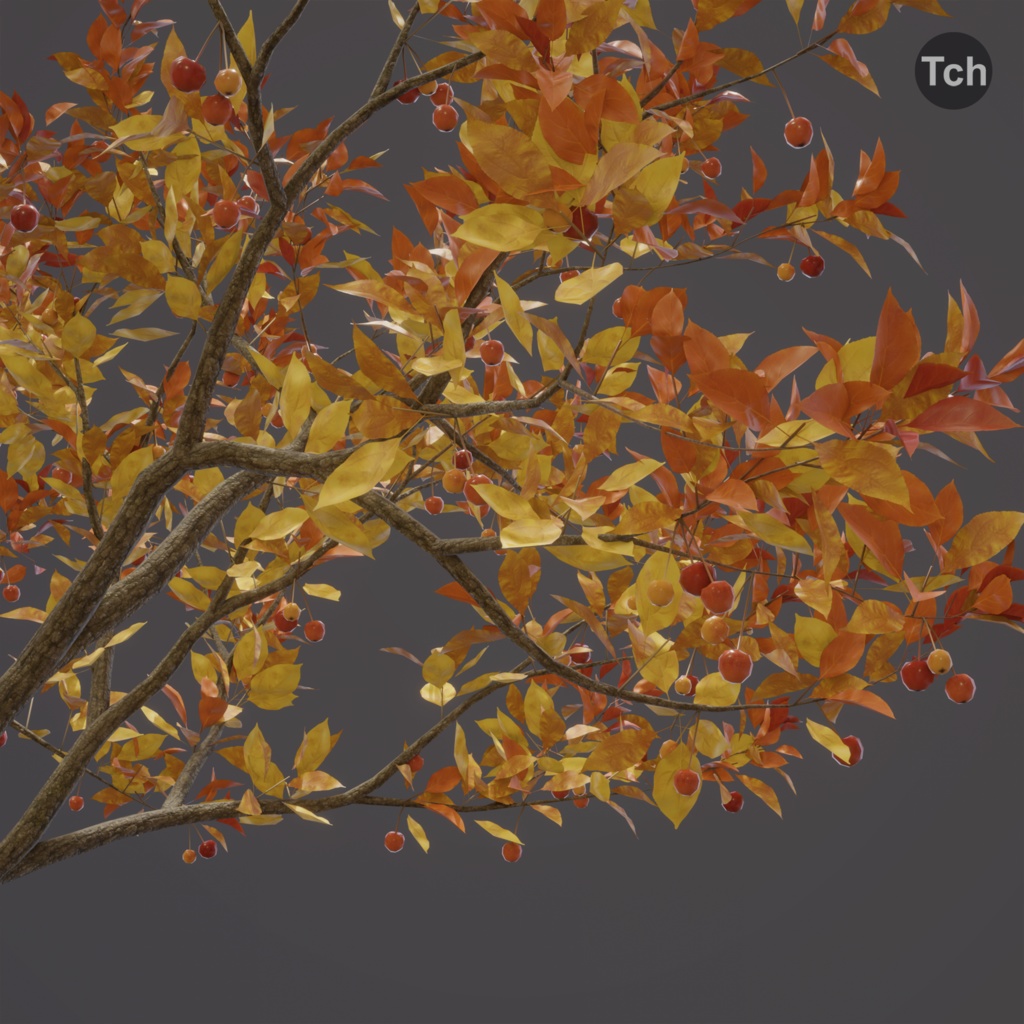 Fall tree (3D) | 秋の木 (3D)