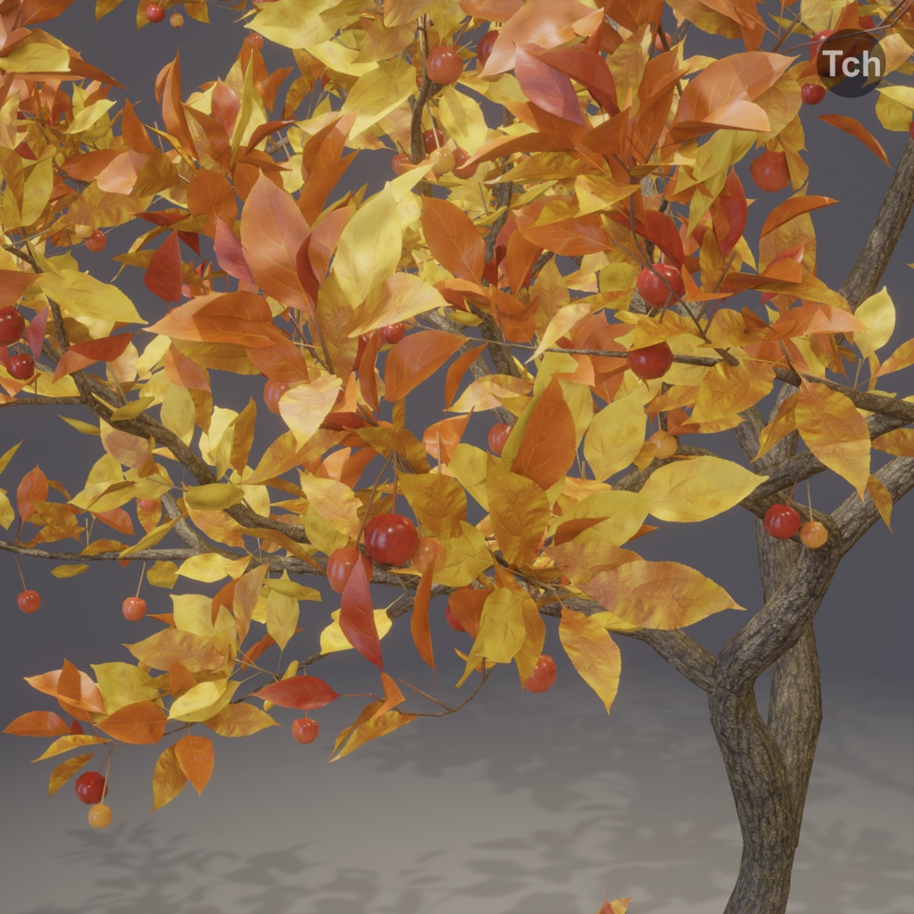 Four seasons tree (3D) | 四季の木 (3D)