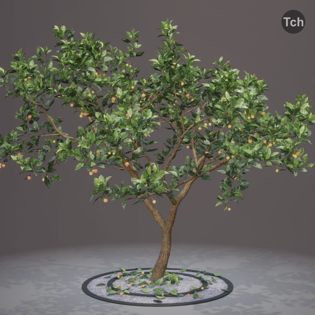 Four seasons tree (3D) | 四季の木 (3D)