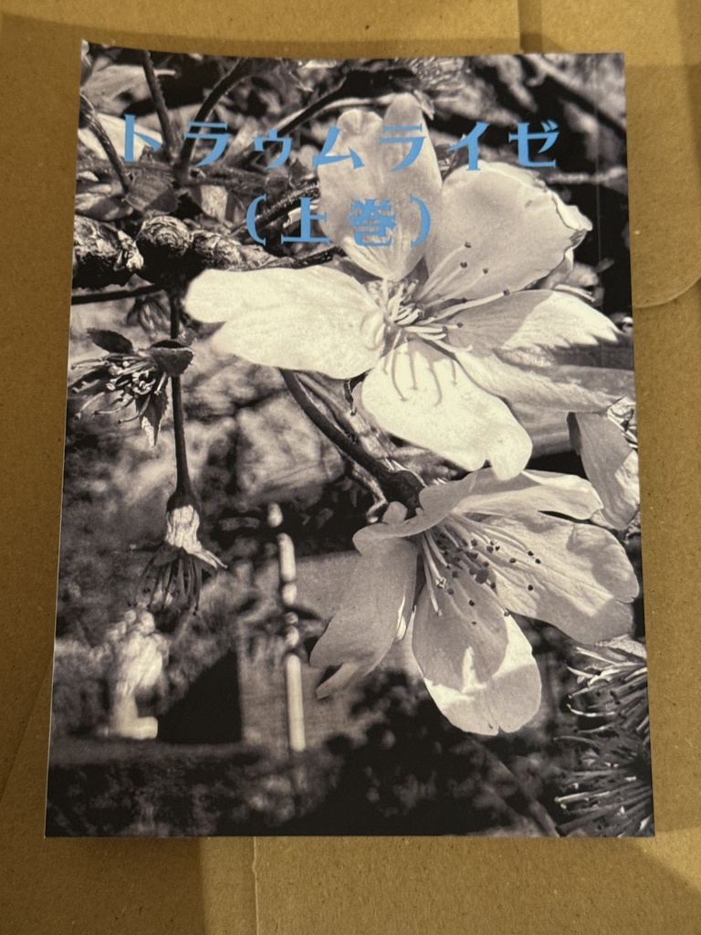 トラゥムライゼ(上巻)