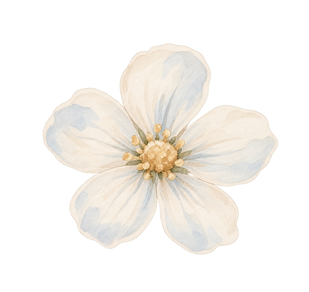 淡色水彩イラスト素材30点|リボン・花・ハート・動物|背景透過PNG