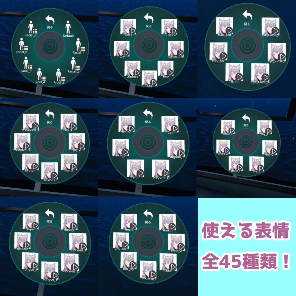 しなのちゃん用!表情固定メニュー《発売セール中!~6/30まで!》