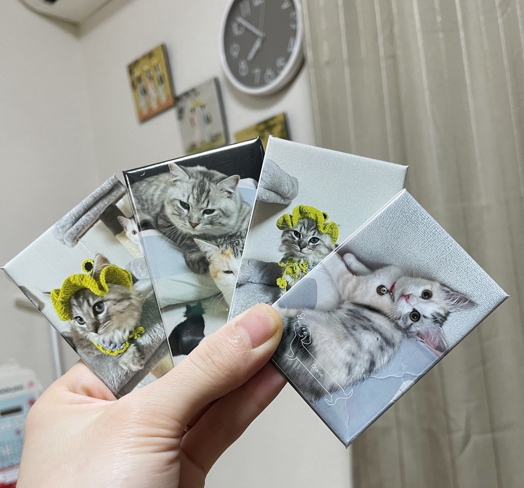 【6個】 ギフト プレゼント インテリア 誕生日 お祝い ペット オリジナル -マグネット写真印刷 - 冷蔵庫・ロッカー・玄関など - 6枚セット:1600円(送料無料)