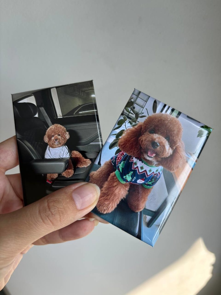 【6個】 ギフト プレゼント インテリア 誕生日 お祝い ペット オリジナル -マグネット写真印刷 - 冷蔵庫・ロッカー・玄関など - 6枚セット:1600円(送料無料)