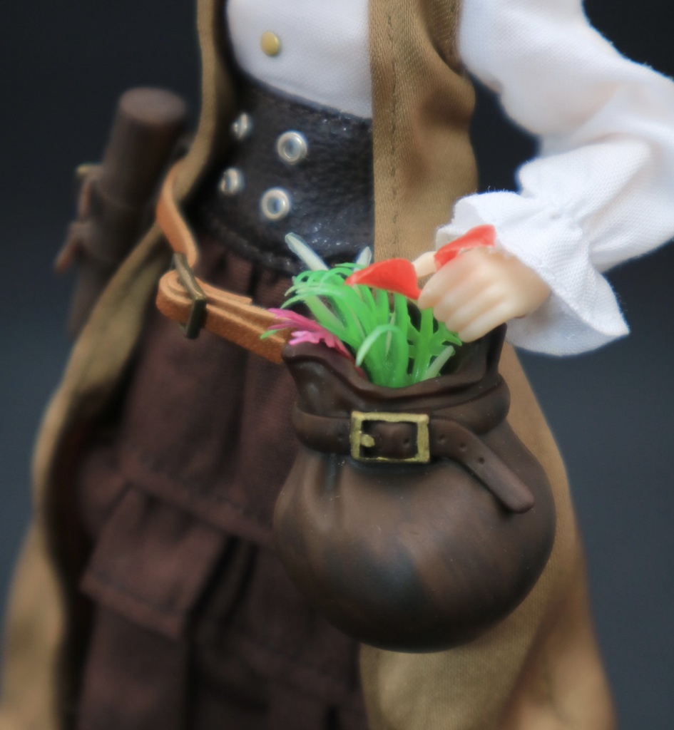 【ブレーメン峠】 フィールドワークベルト