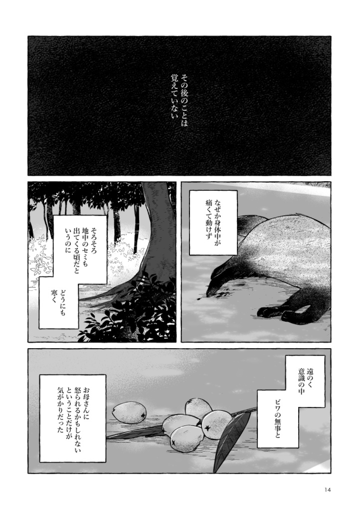 【ボロさんとタヌキ】ぼくのかみさま【2025/10/19新刊】