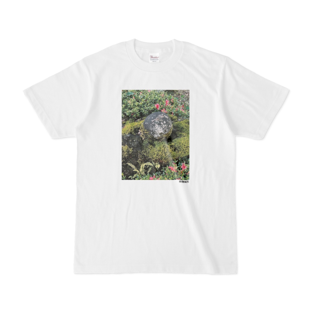 植物属性Tシャツ(第45回)