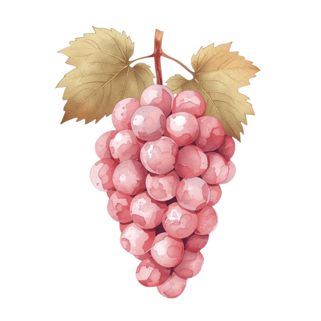 水彩画風 ピンクアンティーク果物クリップアートセット(全10種類/PNG)