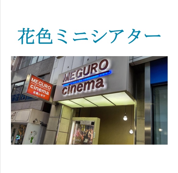 花色ミニシアター【クイズ問題集】