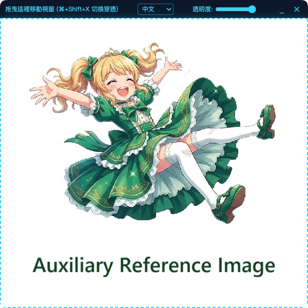 AuxiliaryReferenceImage