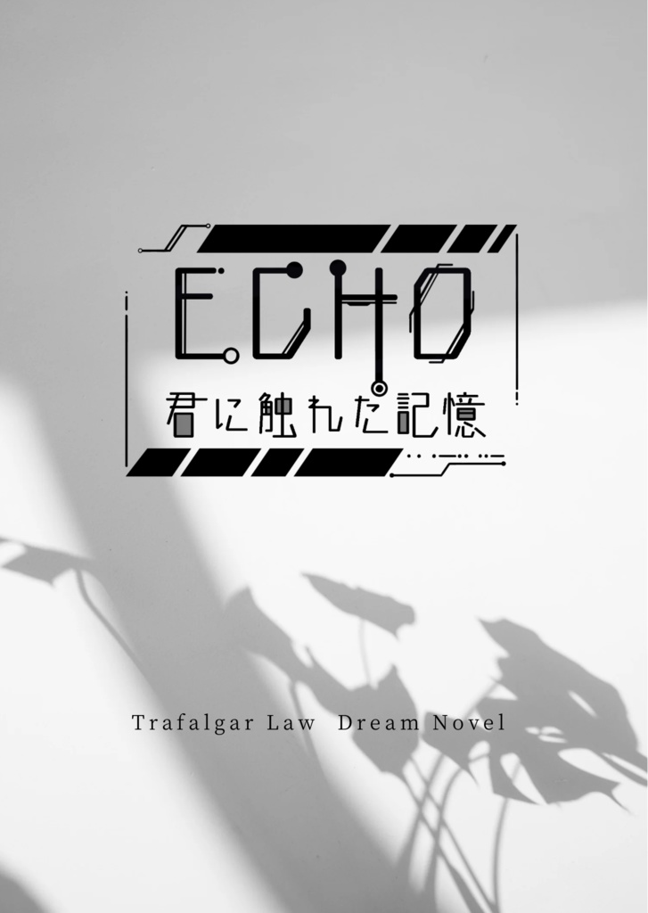 ECHO：君に触れた記憶