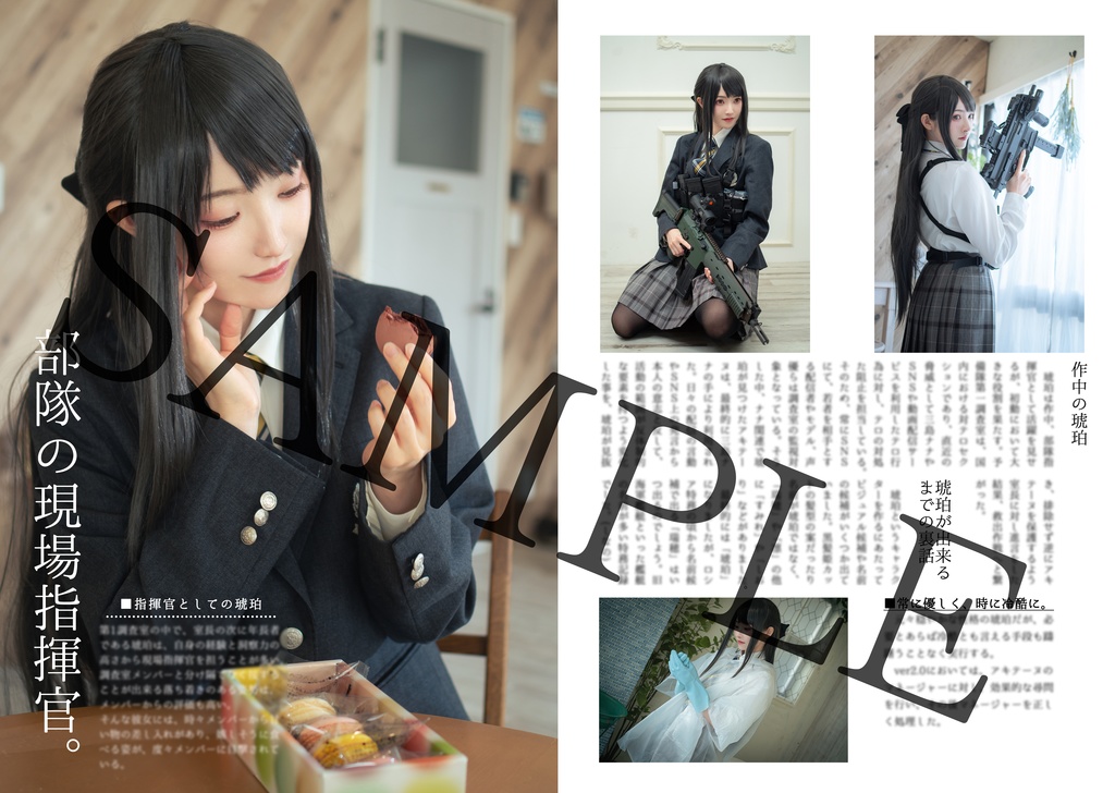 少女特務記録 The Beautiful Guardians キャラクター設定資料集