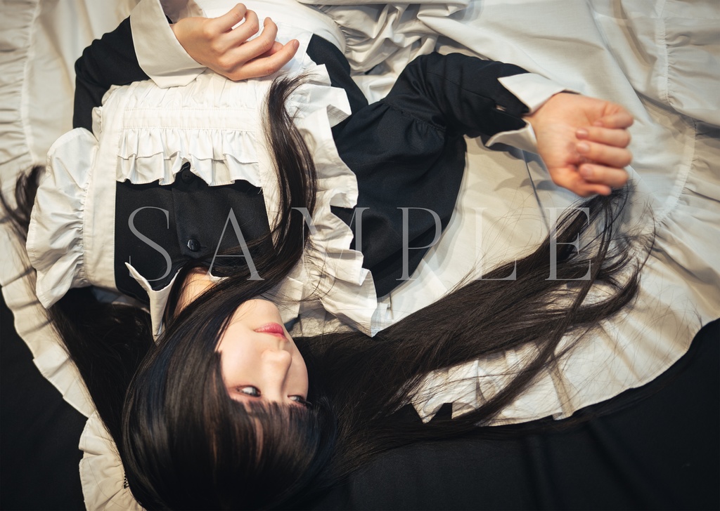 【再販】武装メイド写真集『Armed Servant 2』(カバー無し)