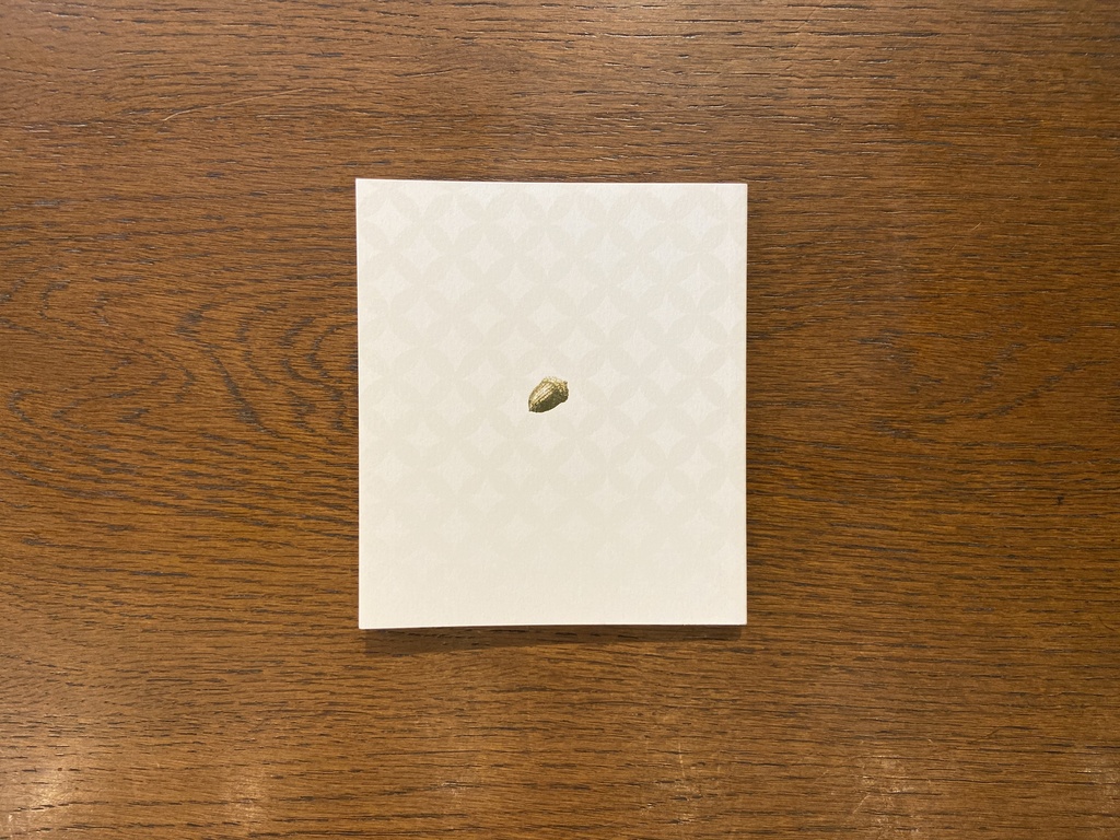 「わたしのたからばこ」まつむらまいこ