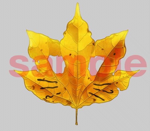 【Live2D素材】落ち葉のお面