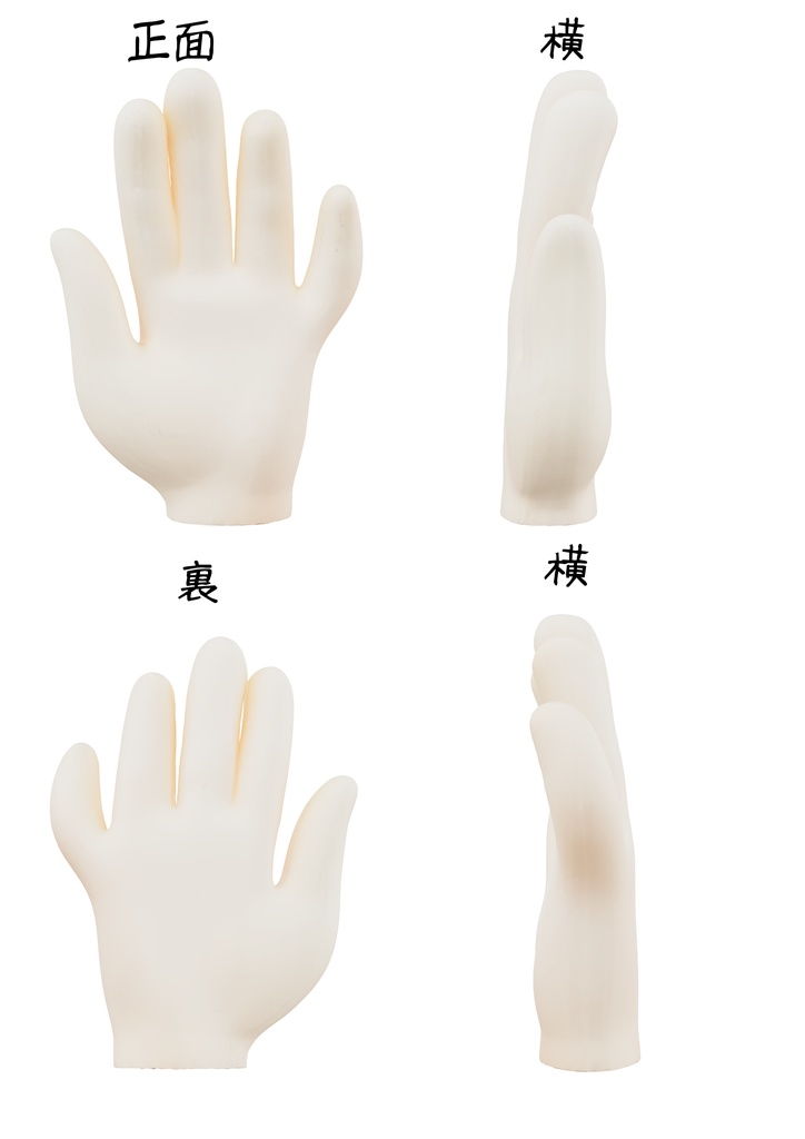 手の「正面」「裏」「横」「横２」