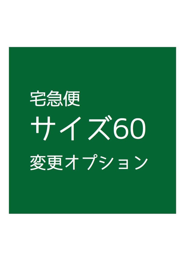 梱包サイズ60（オプション）