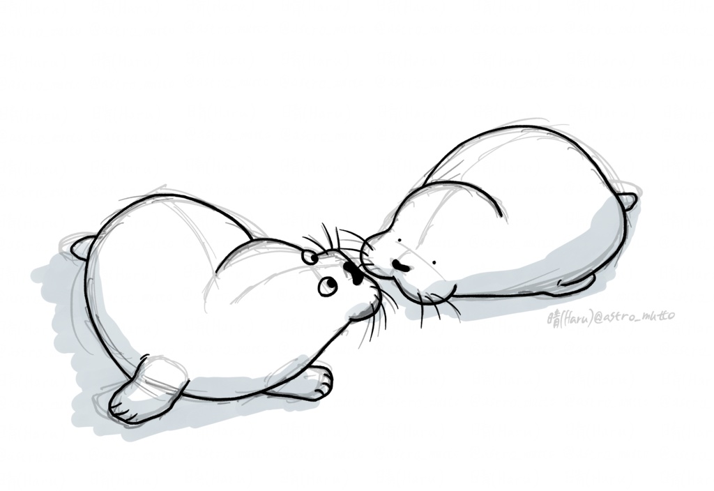 2頭のアザラシ ラフスケッチTシャツ