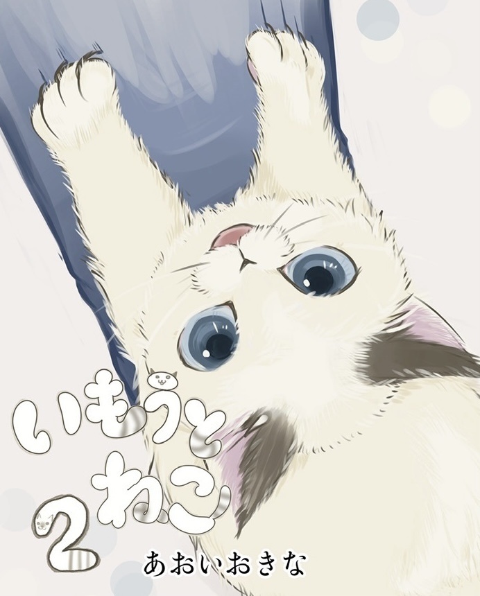いもうとねこ②