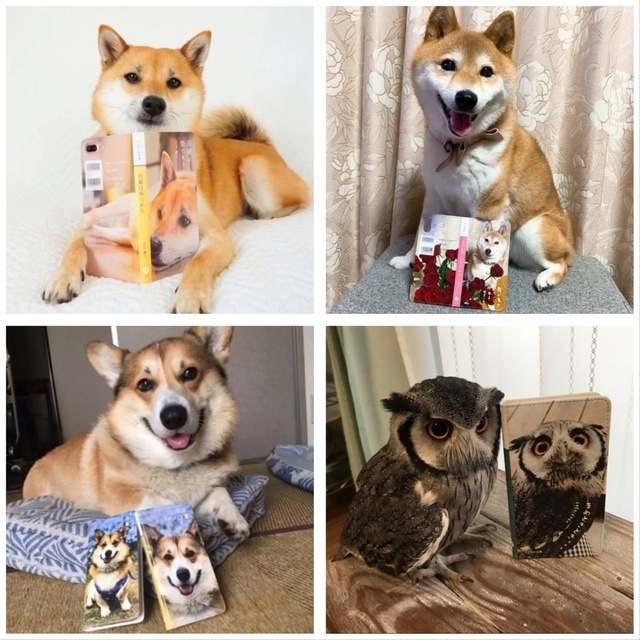 お好きな写真で!オリジナル小説本風スマホケース 全機種対応 iPhone17 Air iPhone16e iphone15 うちの子 猫 犬 スマホケース ペット