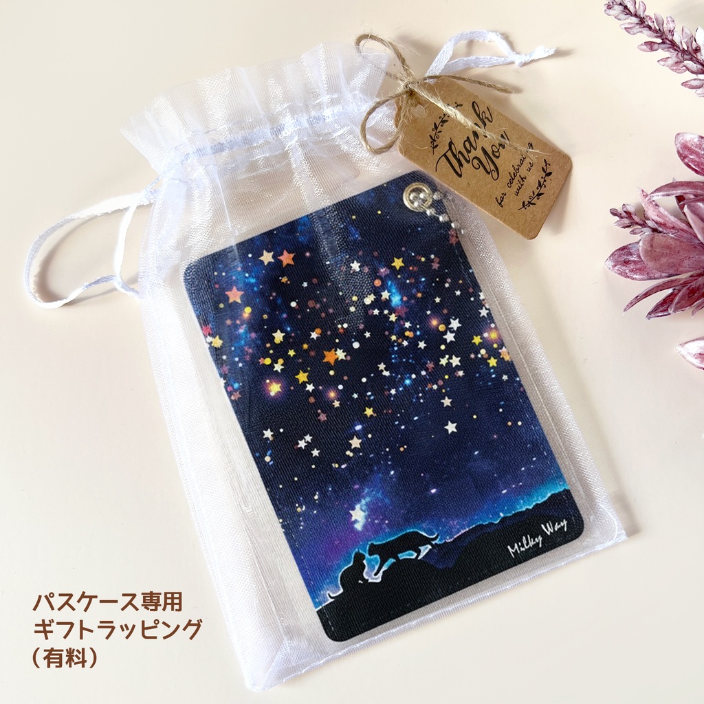 猫の魔法使い(金) 洋書風のパスケース 猫 定期入れ メンズ カードケース 黒猫 宇宙