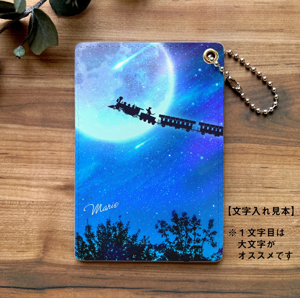 銀河鉄道の猫 パスケース 猫 定期入れ メンズ カードケース 黒猫 宇宙 星座